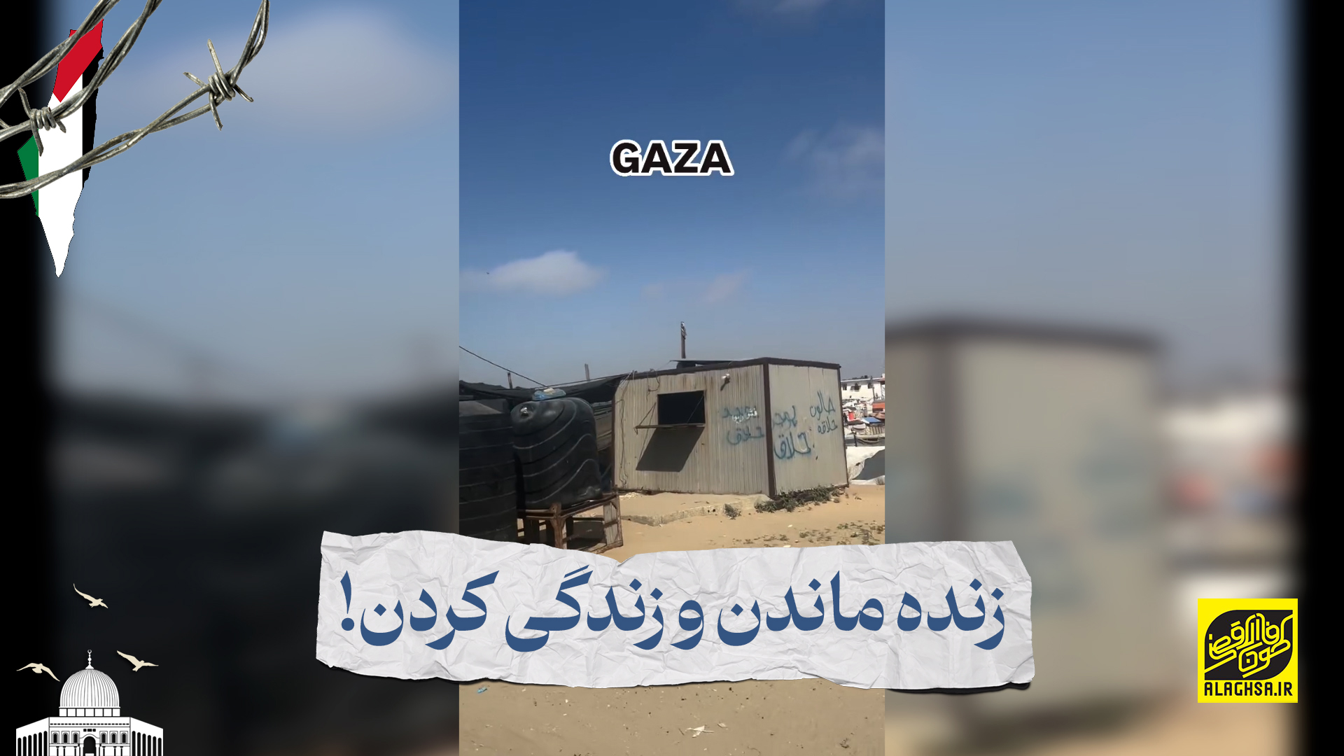 زنده ماندن و زندگی کردن!