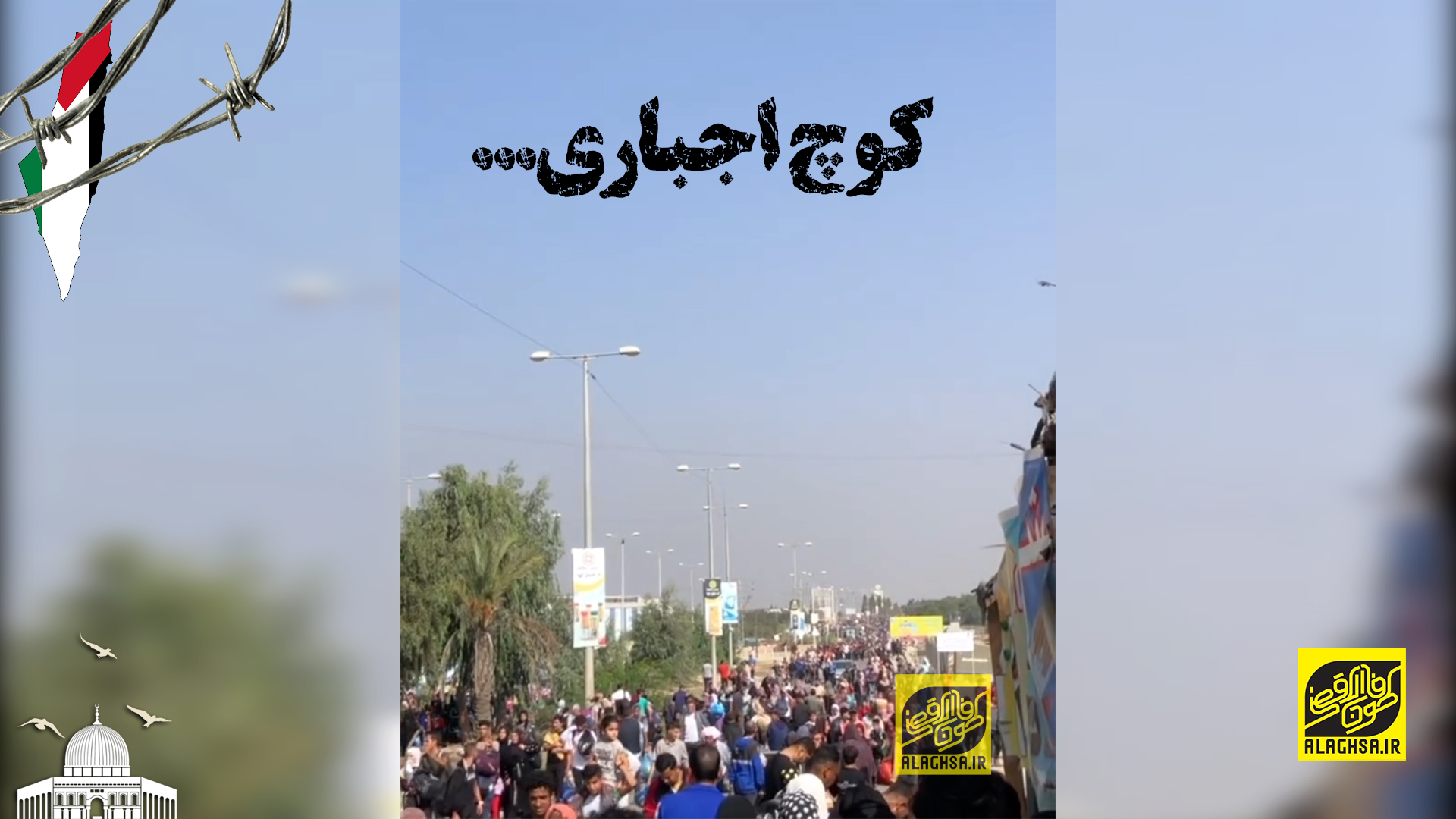 کوچ اجباری...